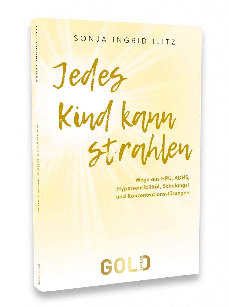 Sonja Ingrid Ilitz Buchcover Hero